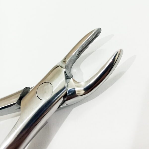 Dental Forceps