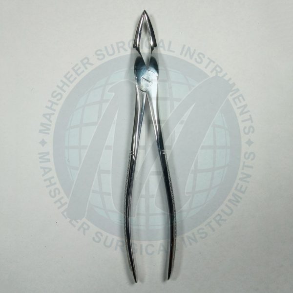 Extracting-Forceps-Special-Pattern-No.51A-Pattern