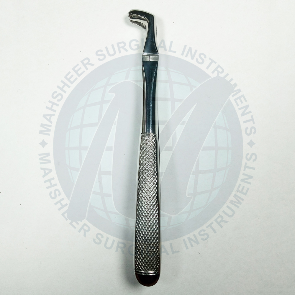 Extracting-Forceps-Special-Pattern-No.79-Pattern Extracting-Forceps-Special-Pattern-No.79-Pattern
