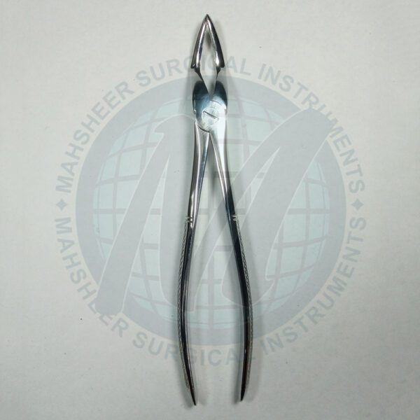 Extracting-Forceps-#51